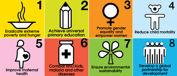 United Nations Millennium Development Goals