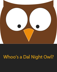 night owl cloud service