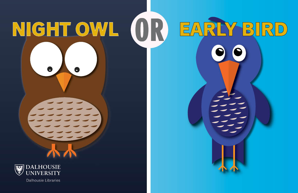 night owls early birds digital asset